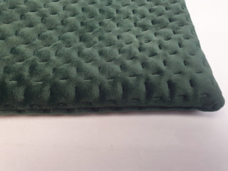 Annabel Trends green velvet purse/makeup bag/toiletry bag